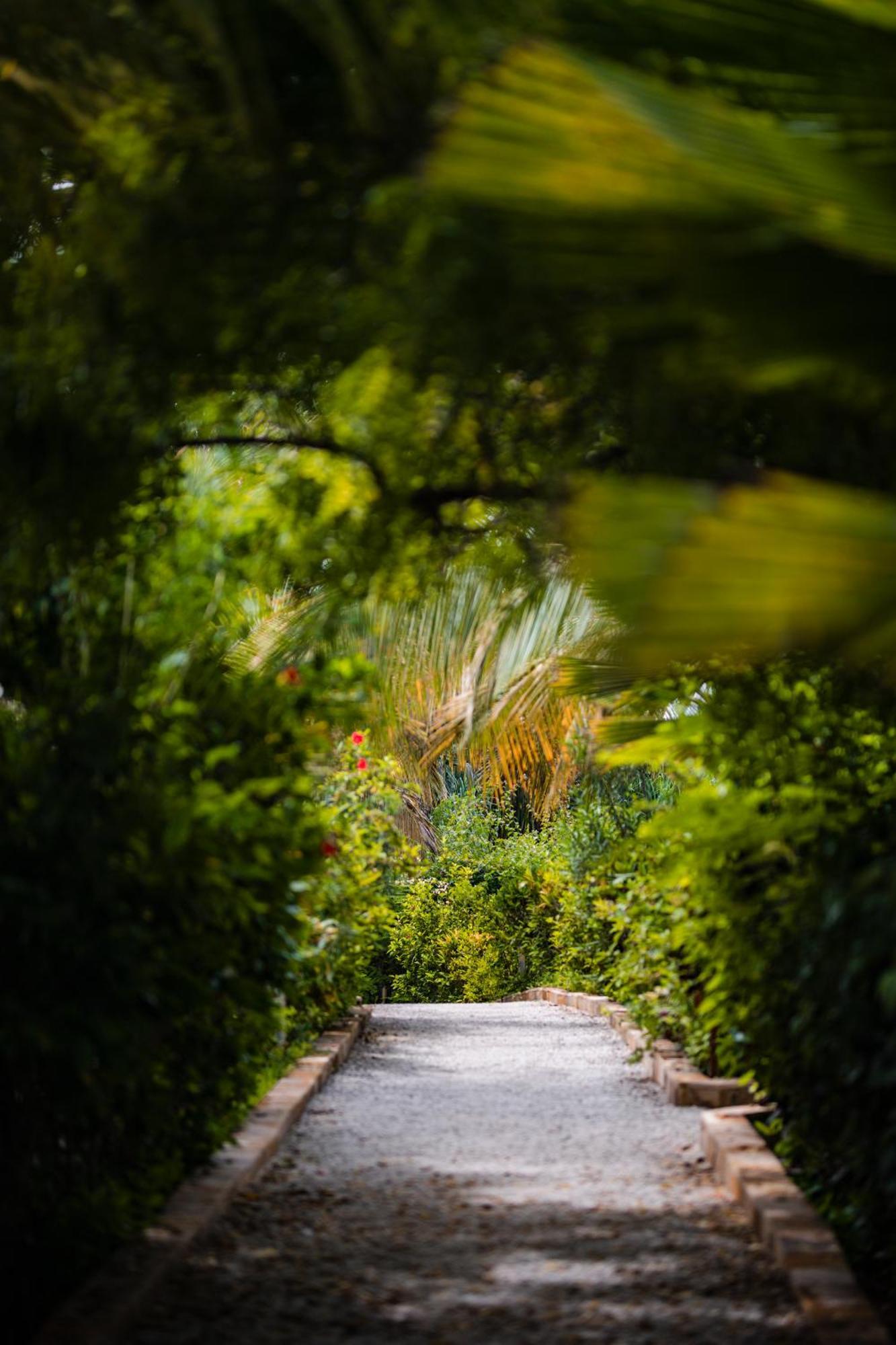 White Paradise Zanzibar Pongwe Exterior photo